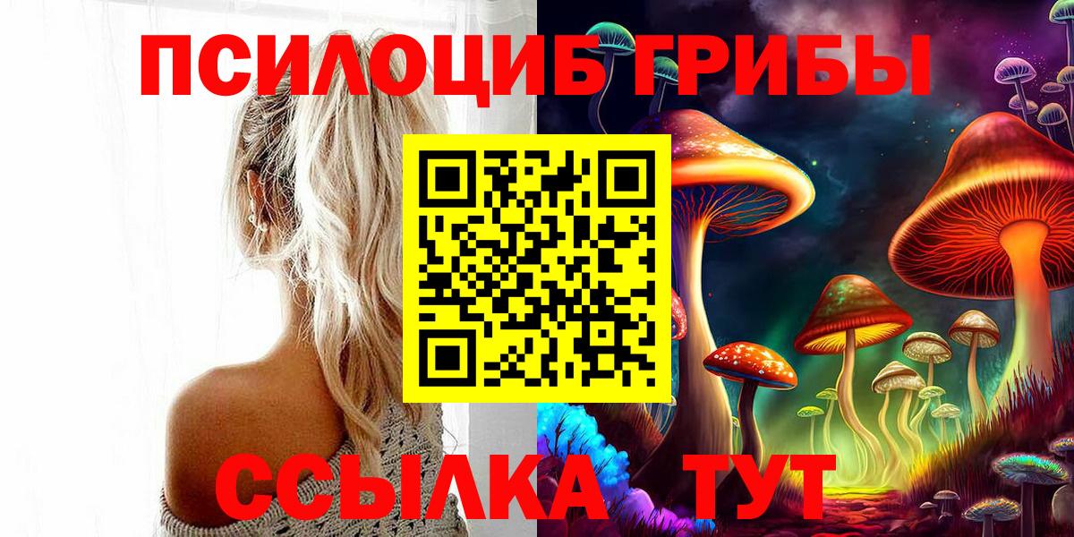 Галлюциногенные грибы мицелий  где можно купить   Каменка  Вход с VPN 